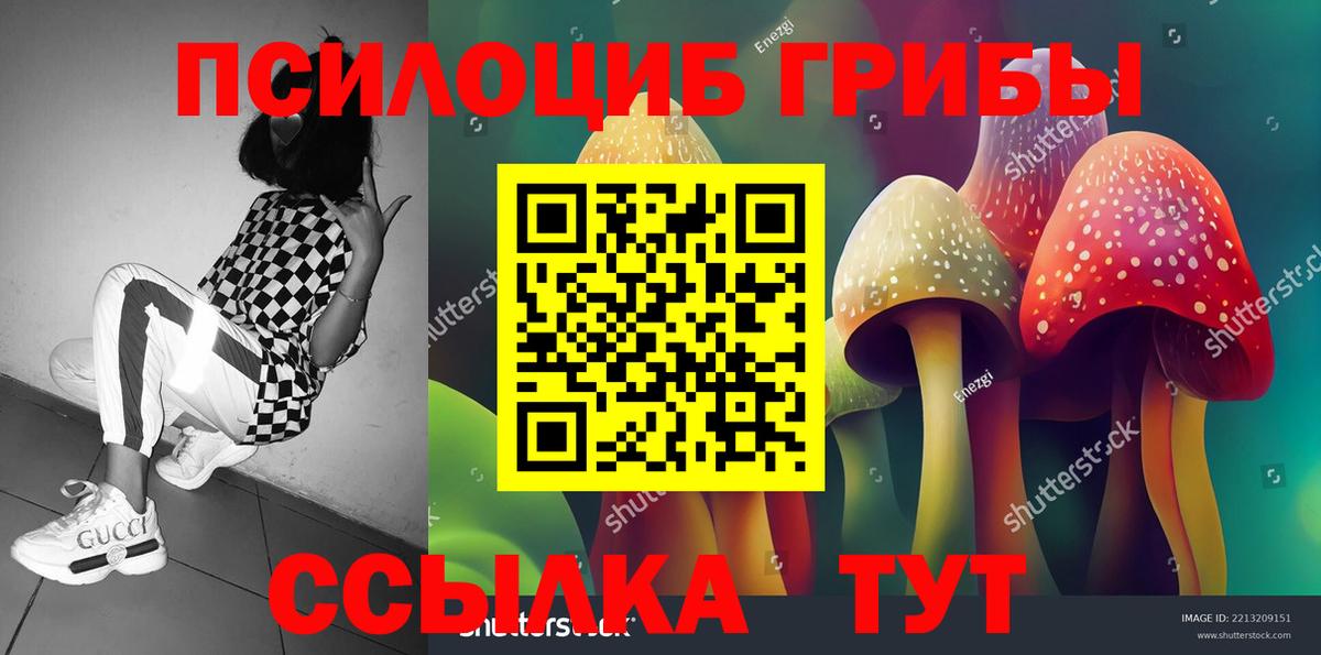 Малоярославец  Галлюциногенные грибы GOLDEN TEACHER  где купить   Вход с VPN 