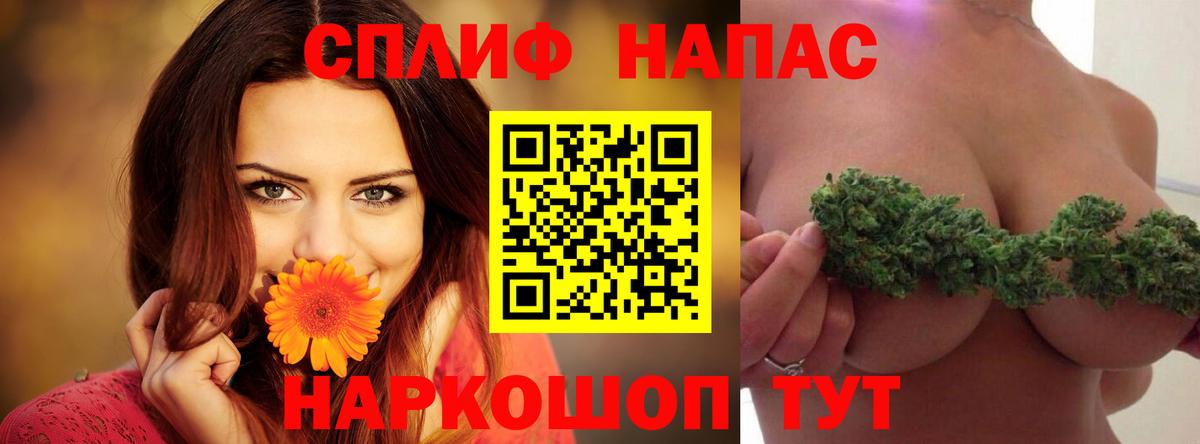 Конопля сатива Малоярославец